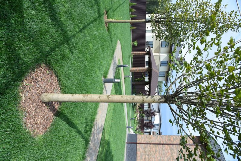 Construction and Planting