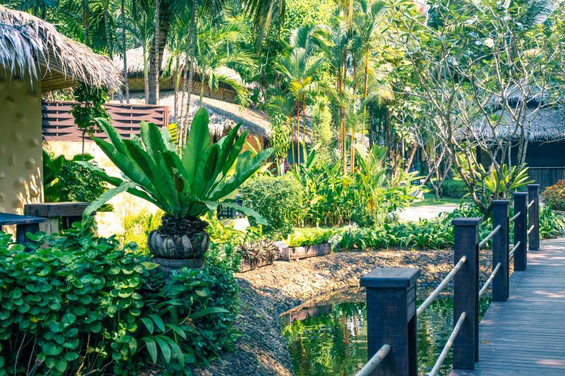 Lush Tropical Gardens