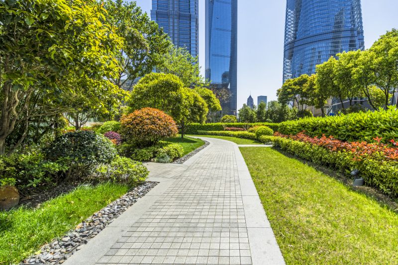 Pathway Landscaping
