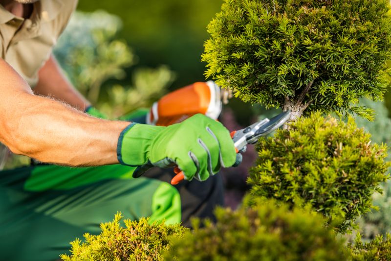 Shrub Care Service