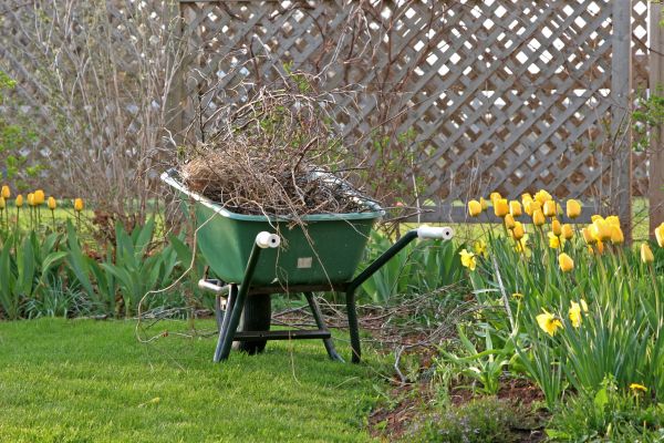Flower Bed Cleanup Service in Delray Beach