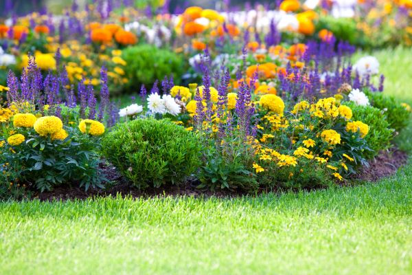 Flower Bed Maintenance in Delray Beach