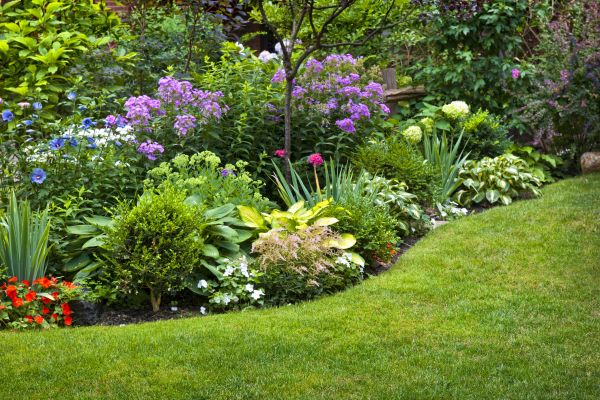 Flower Bed Service in Delray Beach