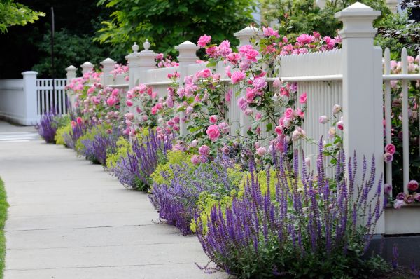 Garden Handyman Service in Delray Beach