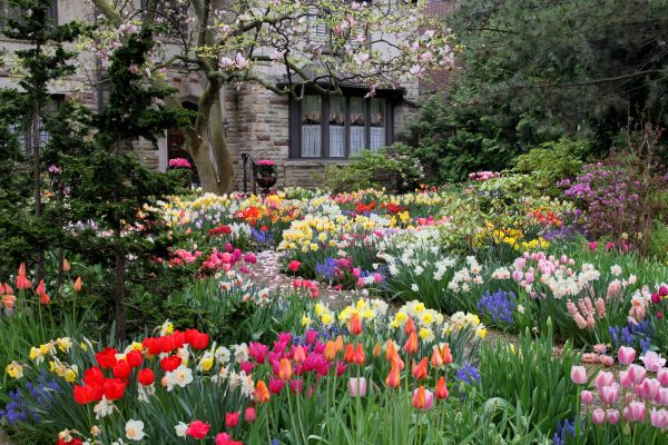 Garden Maintenance Service in Delray Beach