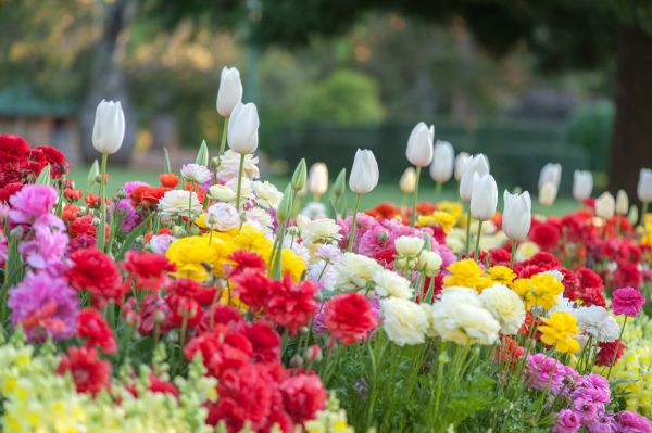 Gardening Service in Delray Beach