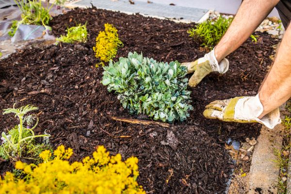 Weeding And Mulching in Delray Beach