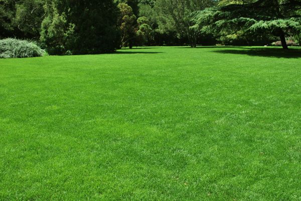 Lawn Landscaping in Delray Beach