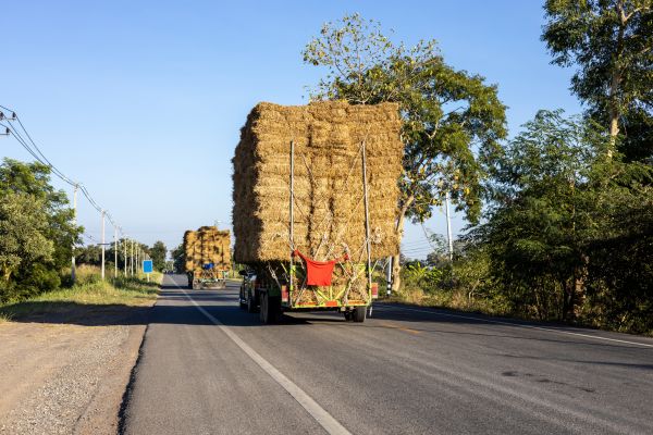 Pine Straw Delivery in Delray Beach