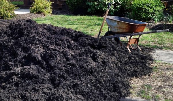 Black Mulch Delivery in Delray Beach