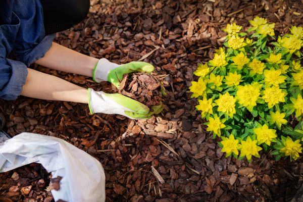 Garden Mulching in Delray Beach