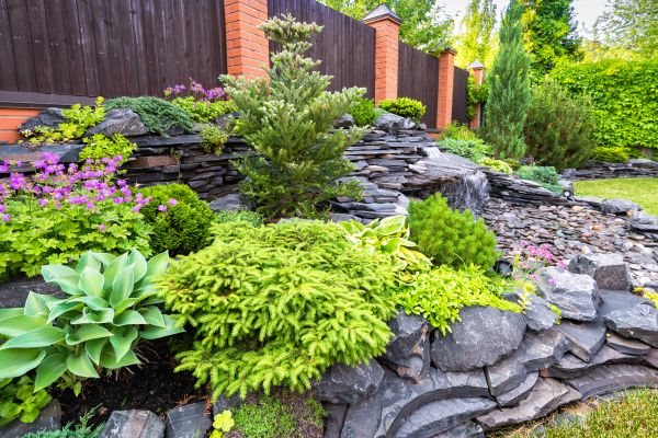 Landscape Remodeling in Delray Beach