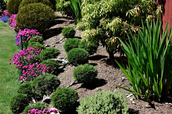 Residential Gardening in Delray Beach
