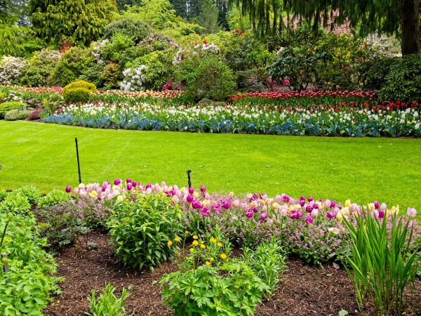 Residential Landscape Design in Delray Beach