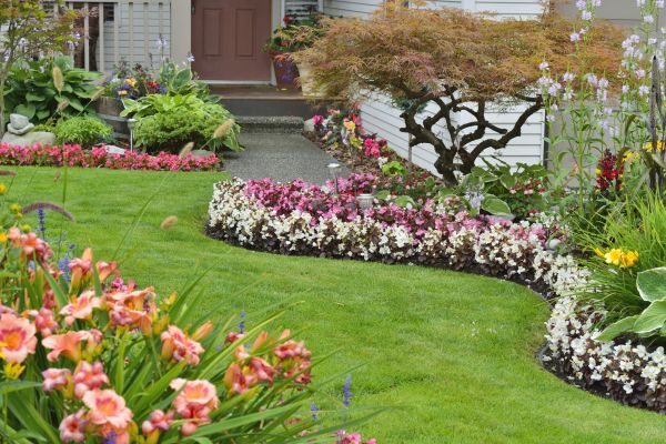 Perennial Landscaping in Delray Beach