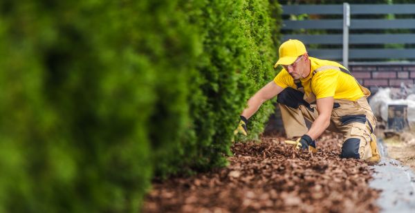 Cypress Mulch Installation in Delray Beach