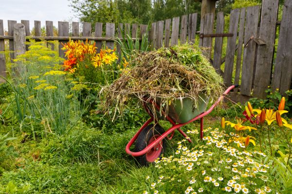 Garden Cleanup Service in Delray Beach