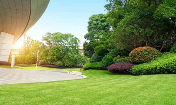 Business Landscape Design in Delray Beach