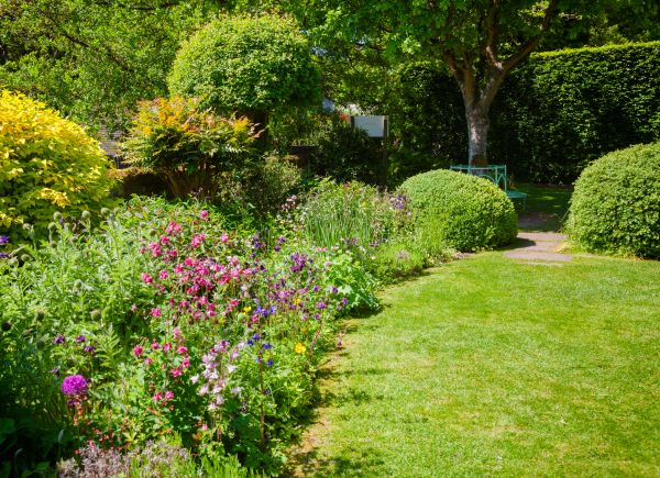 Yard Landscaping Service in Delray Beach