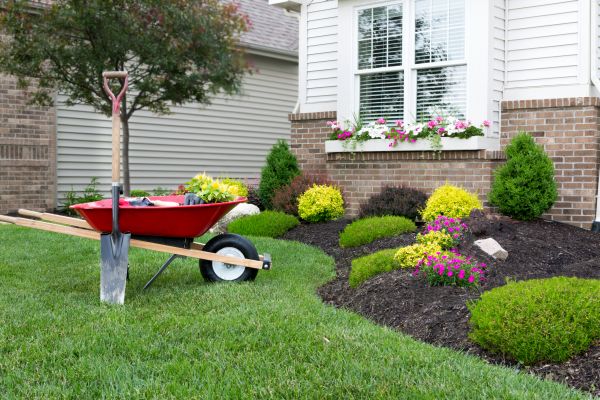 Tree And Shrub Planting in Delray Beach