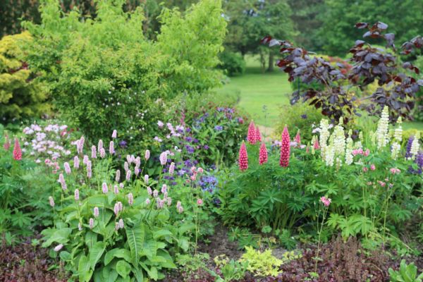 Flower Bed Planting in Delray Beach