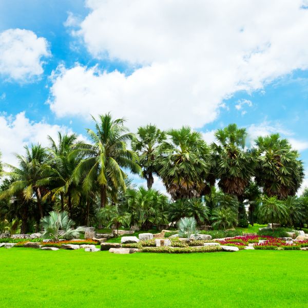 Tropical Landscaping in Delray Beach