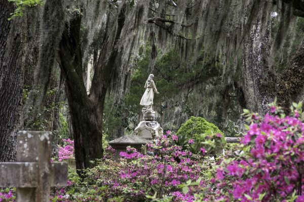 Cemetery Landscaping in Delray Beach