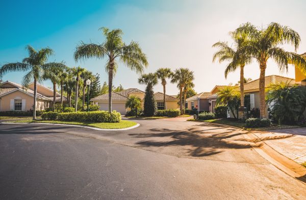 Palm Tree Landscaping in Delray Beach