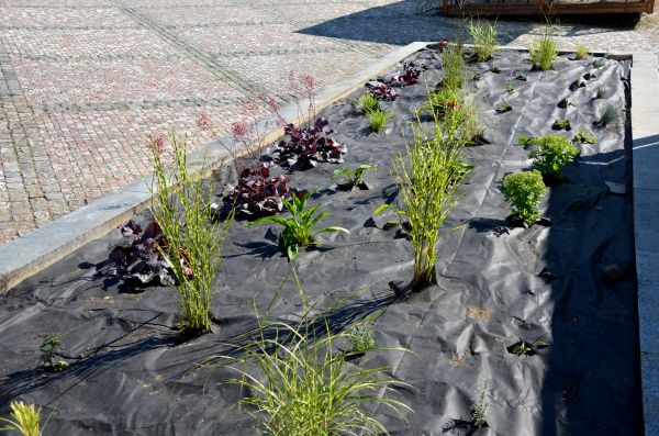 Landscape Fabric Installation in Delray Beach