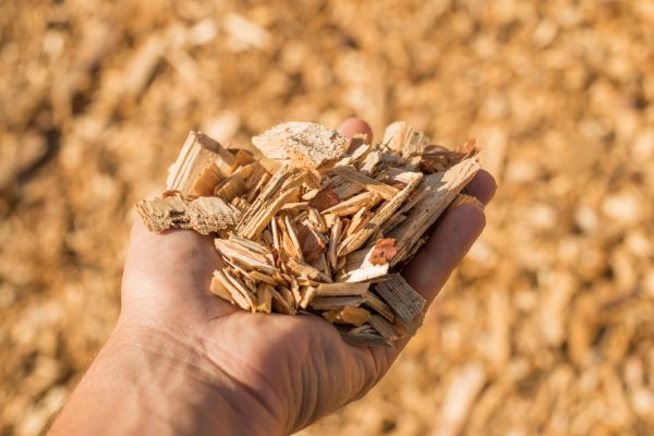 Wood Chips Spreading in Delray Beach