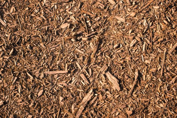 Wood Chips Removal in Delray Beach