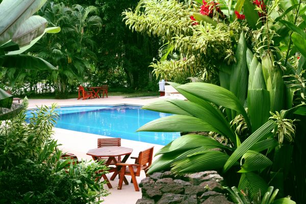 Pool Area Landscaping in Delray Beach