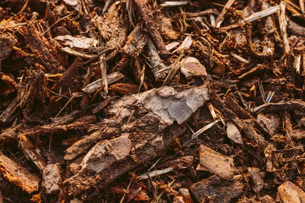 Bark Mulch Delivery in Delray Beach