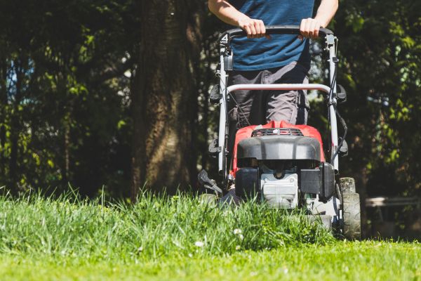 Garden Trimming Service in Delray Beach