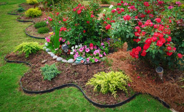 Floral Landscaping in Delray Beach