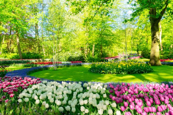 Flower Landscaping in Delray Beach