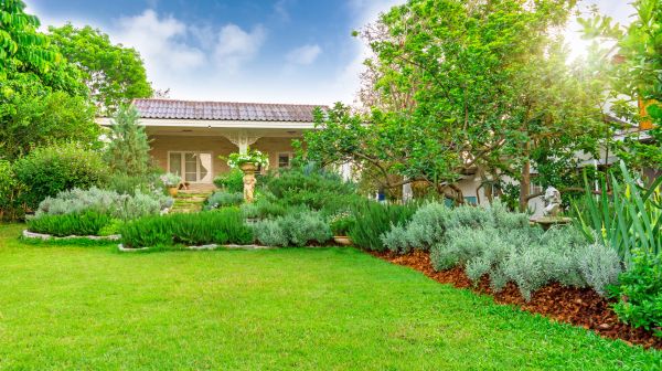 Greenery Planting in Delray Beach