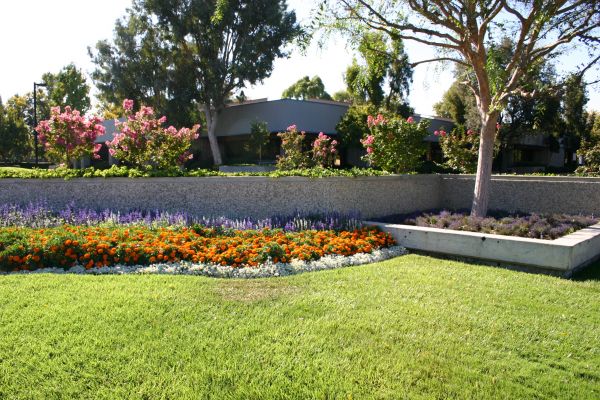 Commercial Landscape Service in Delray Beach