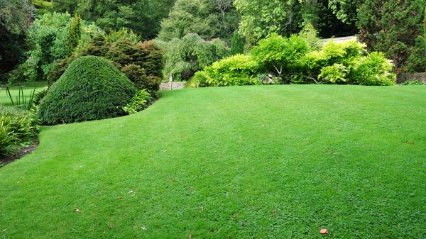 Commercial Landscape Design in Delray Beach