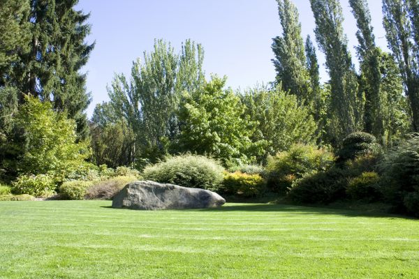 Yard Enlargement in Delray Beach