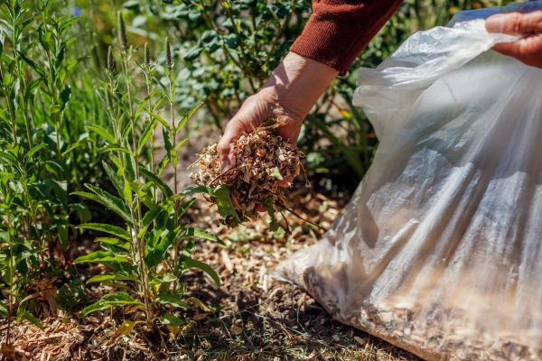 Wood Mulch Installation in Delray Beach