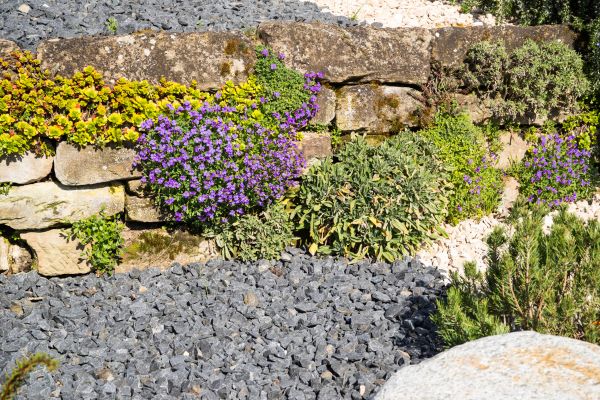 Landscaping Rocks Installation in Delray Beach
