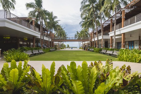 Commercial Lawn Renovation in Delray Beach