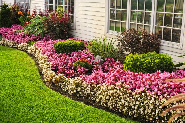 Garden Landscape Design in Delray Beach