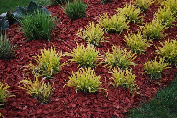 Red Mulch Installation in Delray Beach