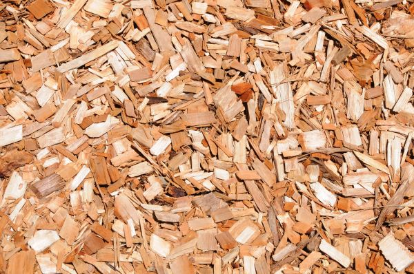 Cypress Mulch Spreading in Delray Beach