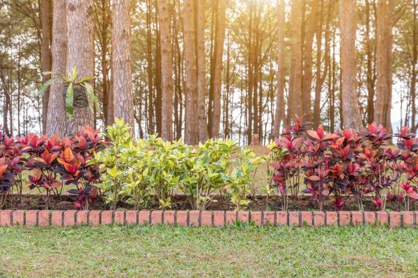 Small Garden Landscaping in Delray Beach