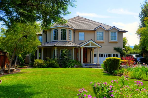 Large Yard Landscaping in Delray Beach