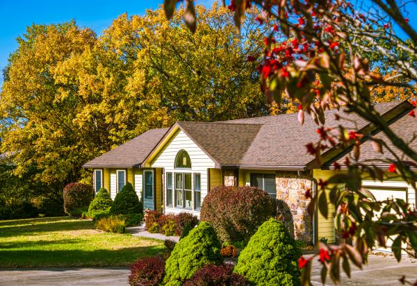 Ranch Landscaping in Delray Beach