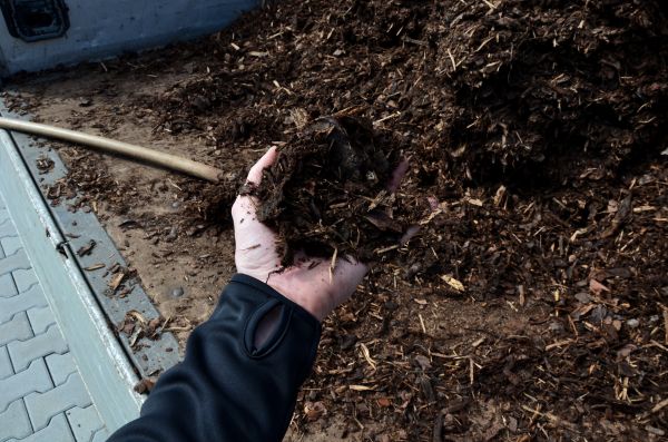 Condo Mulching in Delray Beach